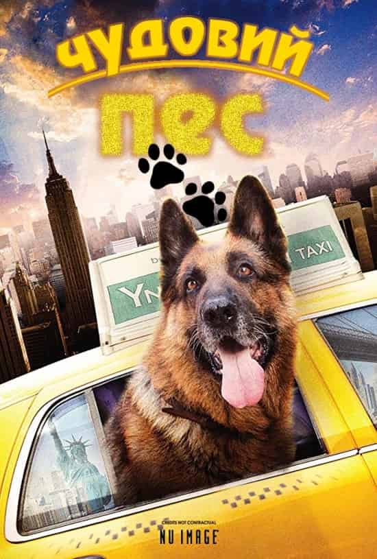 Крутий собака