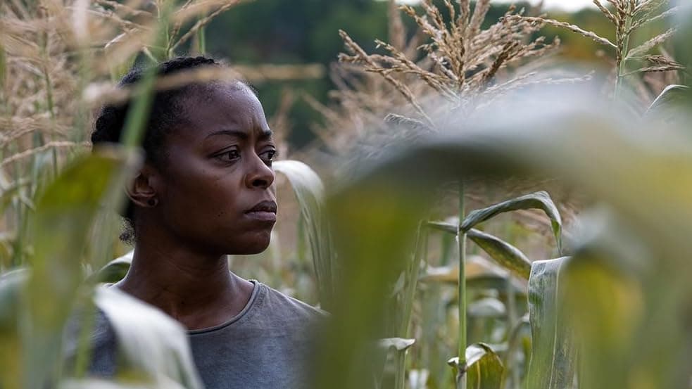 Кадр 3 з 40 акрів