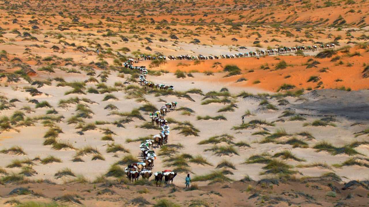 Кадр 3 з Дім