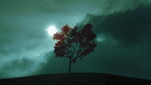 Кадр 2 з Дзвінок