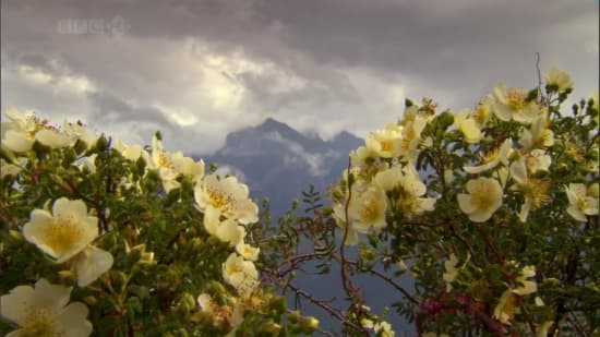 Кадр 4 з Гімалаї