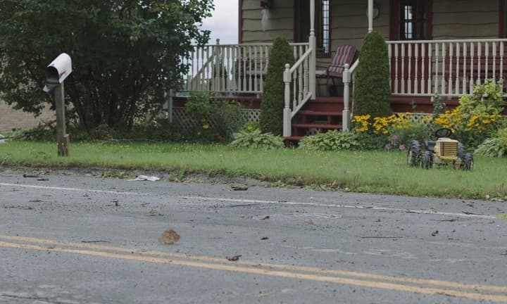 Кадр 3 з Голодні Z