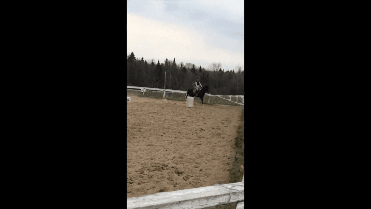 Кадр 4 з Кінь мрії