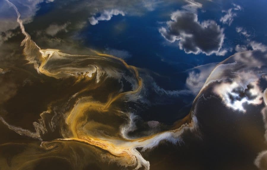 Кадр 4 з Людина