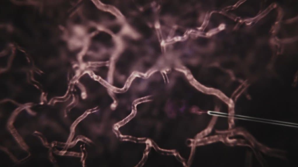 Кадр 2 з Марс 2 сезон