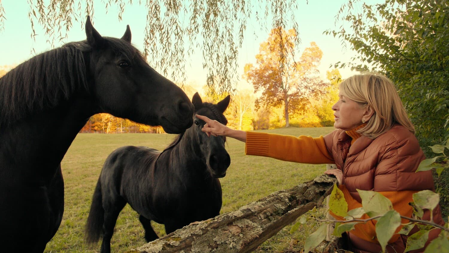 Кадр 1 з Марта