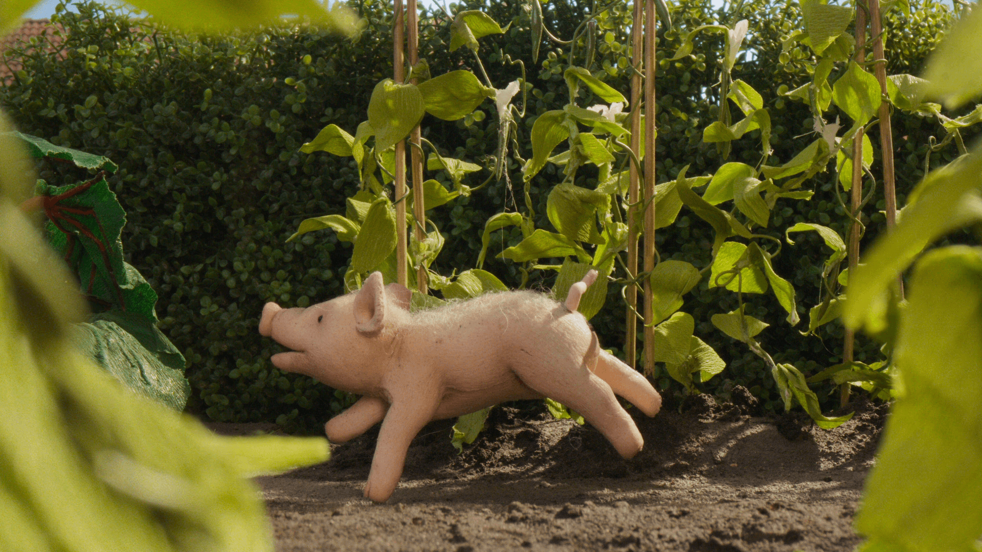 Кадр 4 з Паця