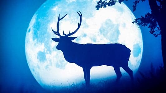 Кадр 1 з Сезони