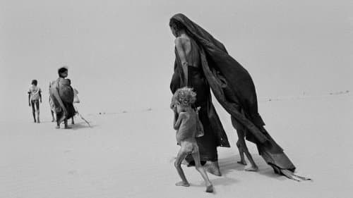 Кадр 2 з Сіль землі