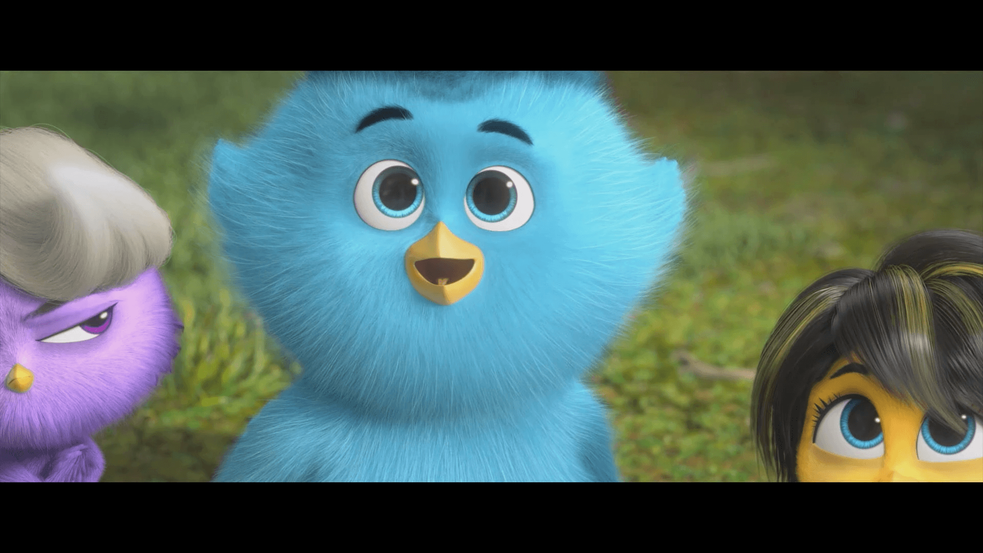 Кадр 3 з З гнізда