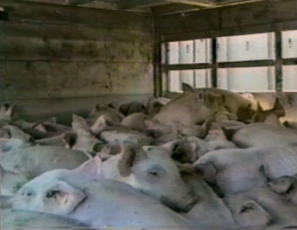 Кадр 2 з Земляни