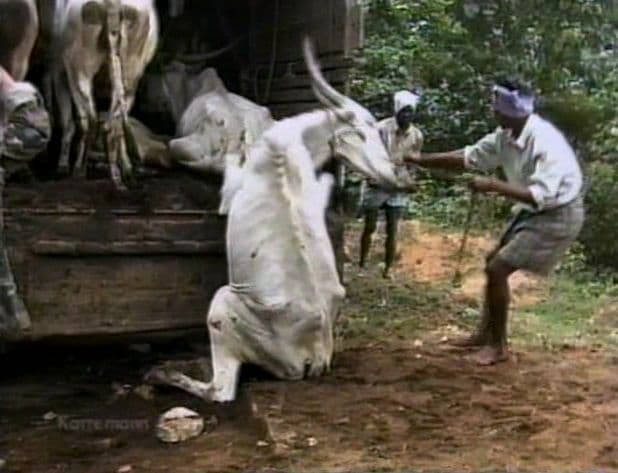 Кадр 3 з Земляни