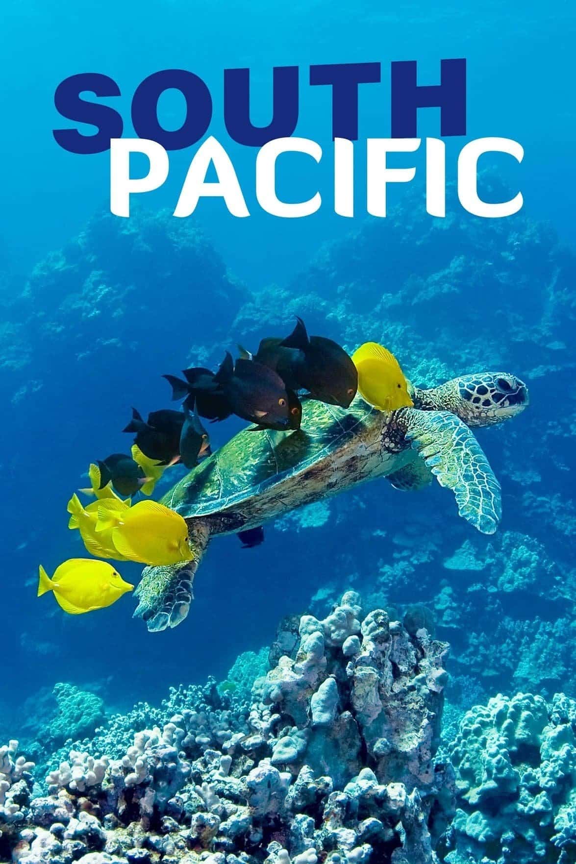 BBC. Таємниці Тихоокеанcького півдня / Південь Тихого океану 1 сезон