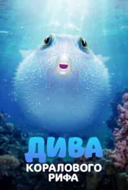 Дива коралового рифа