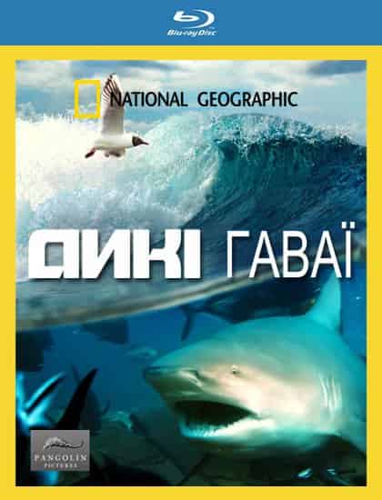 Дикі Гаваї 1 сезон