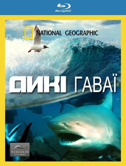 Дикі Гаваї 1 сезон