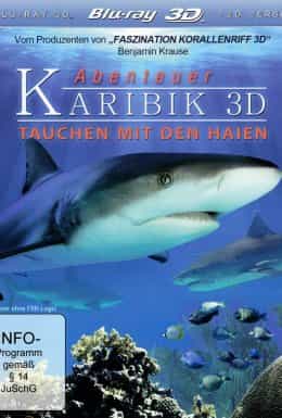 Карибські острови: Занурення з акулами