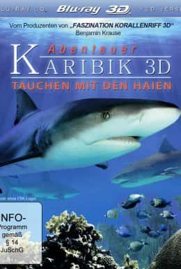 Карибські острови: Занурення з акулами