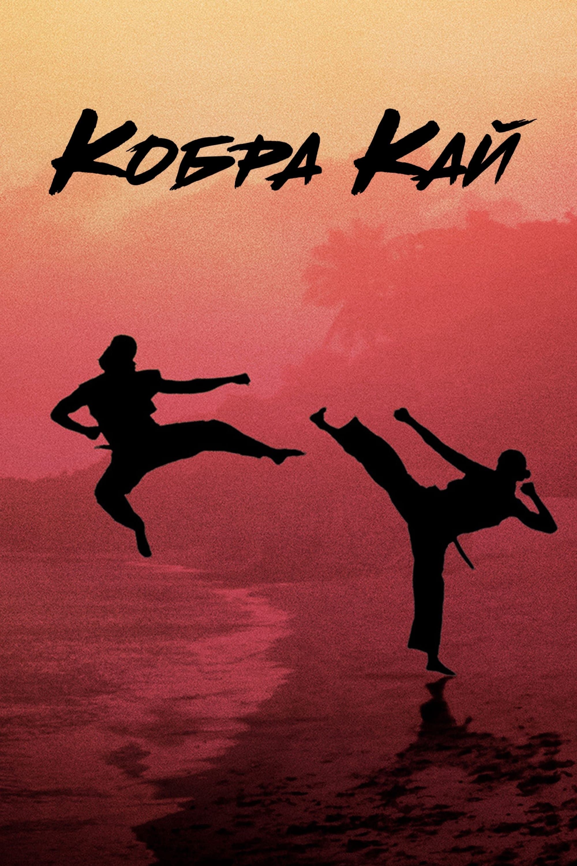 Кобра Кай 1 сезон