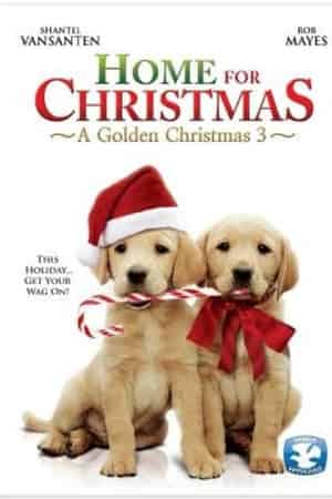 Кохання на Різдво