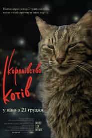 Королівство котів / Кіт