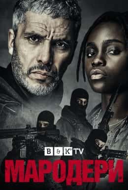 Мародери / Знову в ділі 1 сезон