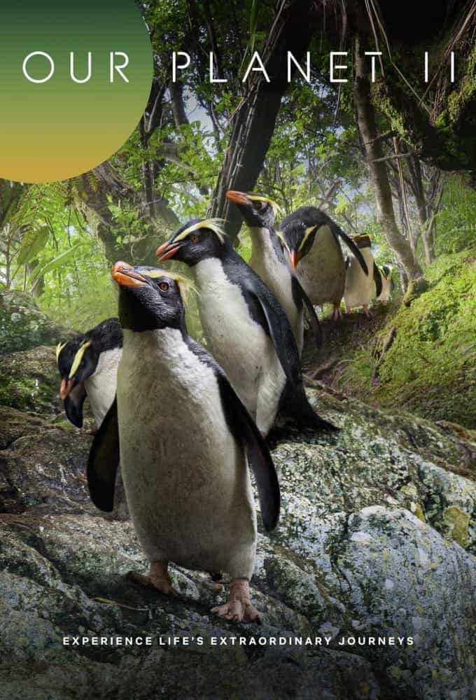 Наша планета 2 сезон