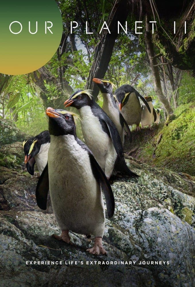 Наша планета 2 сезон