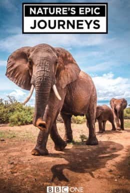 Найбільші в світі міграції / Найбільші міграції в природі 1 сезон