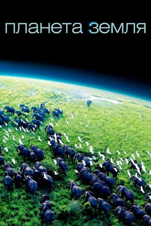 Планета Земля 1 сезон