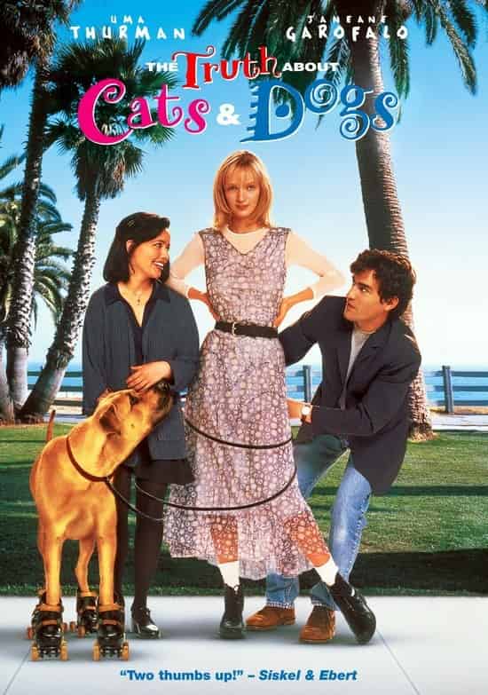 Правда про котів і собак